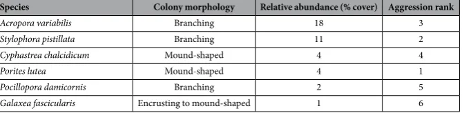 Table 1. aggressive) is modified from Abelson and Loya (1999)by the National Monitoring Program in the Gulf of Aqaba (NMP available from http://www.iui-eilat.ac.il/ Description of the study species