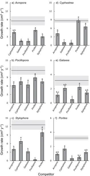 Figure 4. Coral growth under interspecific competition in the presence of different competitors