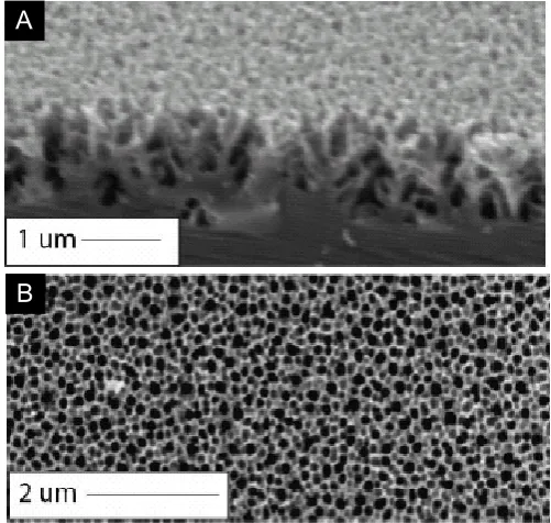 Figure 1.1. (A) Cross section and (B) top view of SEM image of porous silicon. 