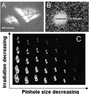 Figure 2.1.m in diameter; and (C) a plot of laser spot sizes as a function of laser radiation energy and the μμm in diameter; (B) a laser spot size reduced to 15 m in diameter; (B) a laser spot size reduced to 15 μμm in diameter; and (C) a plot of laser sp