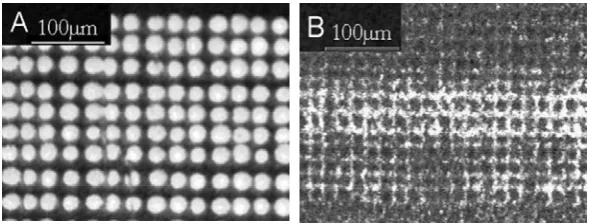 Figure 2.2.Figure 2.2. Optical images of patterned laser burn marks on the DIOS substrates with a stage moving step of (A) 30 μm and (B) 20 μm