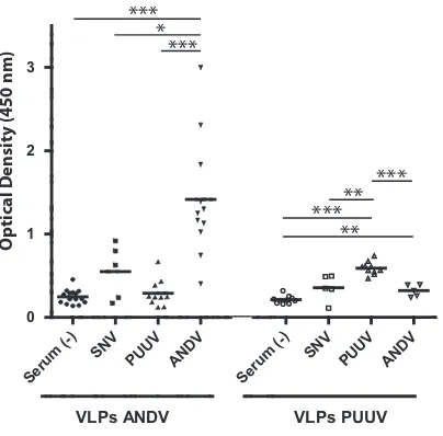 FIG 3 Antigenicity of hantavirus VLPs. ELISA plates were activated with con-centrated ANDV or PUUV VLPs, and their reactivity was tested with seraderived from patients infected with different hantavirus species (ANDV,PUUV, Sin Nombre virus [SNV])