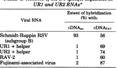 TABLE 2. Absence of the src-specific sequences inUR1 and UR2 RNAsa