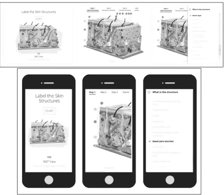 Figure 3. Endocrinology Game Desktop and Mobile User Interface 