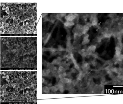 FIG 4 Ultrastructural studies illustrate the close association of vimentin andNS4A. Huh-7 cells were infected for 48 h and then subjected to detergentextraction, chemical ﬁxation, and immunogold labeling for electron micro-scopic visualization of vimentin 