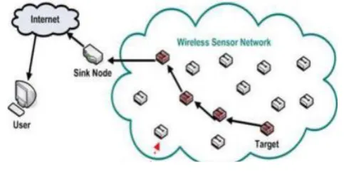 Fig 2. Wireless Network Architecture 