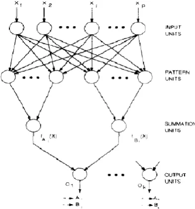 Figure 4: Probabilistic neural network 