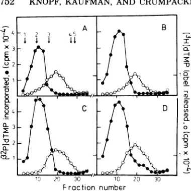 TABLE 3. Template characteristics and apparent kinetic constants of the partially purified HSV DNApolymerase enzymes ofparental and recombinant viruses