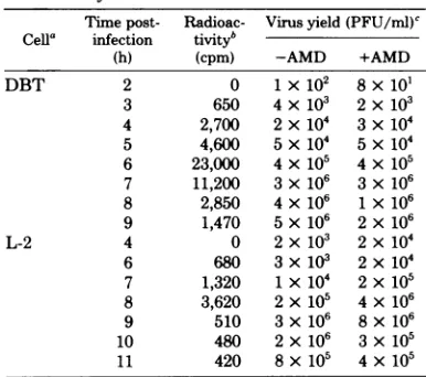TABLE 1. Rate ofMHV-A59 virus-specific RNAsynthesis in DBT and L-2 cells