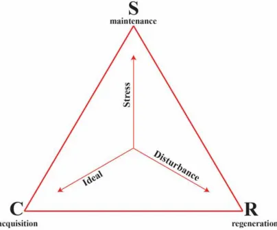 Fig. 1.1 The Universal Adaptive Strategy Theory (UAST) triangle indicating the 