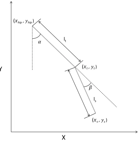 Figure 2.4 Biped Model