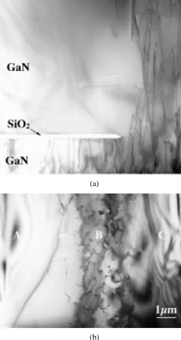 Fig. 3.Composite of cross-sectional TEM micrographs of a PEAlGaN film. Note the threading dislocations continue fromthe GaN stripes into the film.