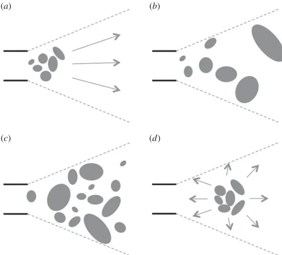 Figure 2. Simplified diagram showing potential reconstruction styles, horizontal parallel lines represent the bower entrance and greyparticular order; (progresses outwards (or vice versa); (dottedlinesrepresentthefemalefieldofview.(a)Smallestobjectsclosestintothebowerandthenincreasingobjectsizeasconstructionb) random selection and placement of the correct sized objects in the appropriate court area in noc) placement of all objects back on the court and then rearrangement by size; (d) placement of correct-sized objects inthe centre of the court and then working outwards.