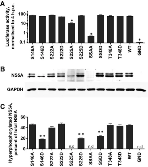 TABLE 1 NS5A phosphopeptides identiﬁed by mass spectrometry