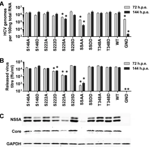FIG 4 Mutagenic analysis of putative phosphorylation sites within LCS I. Themalized to activity at 4 h.(B) Western blot analysis of cell lysates at 72 hpe probed with NS5A (9E10) orGAPDH antibodies