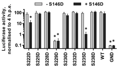 FIG 6 Analysis of LCS I phosphomimetic mutations in the context of S146D.The indicated mutations were engineered into mSGR-Luc-JFH-1 (29), invitro-transcribed RNA was electroporated into Huh7 cells, and luciferase ac-tivity measured at 4 and 72 hpe