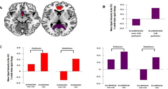 Figure 5-2 Effect of genotype on regional brain activation in the 3-back vs 0-back contrast in patients with bipolar disorder and their 