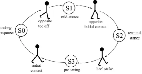Fig.2: A finite state model of human gait walking. The states represent 