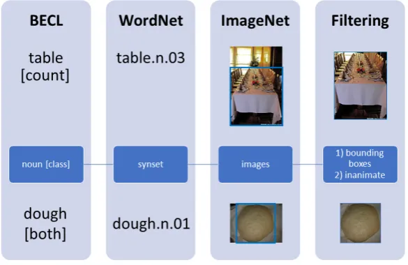 Figure 2: Various steps performed in building the dataset.