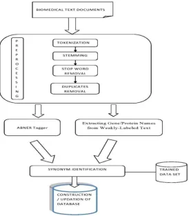 Fig 1: Proposed System for Identifying Synonymous Gene  