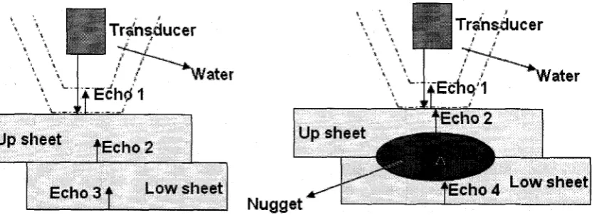 Fig 1-9, Interfaces generate interested pulse echoes 