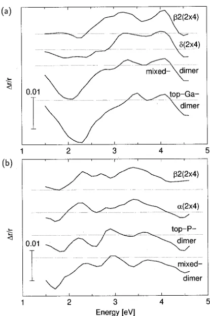 FIG. 5. �a� RAS spectra �same convention as in Fig. 2� calculated for theenergetically favored structural models of the GaP�001� (2�4) surface
