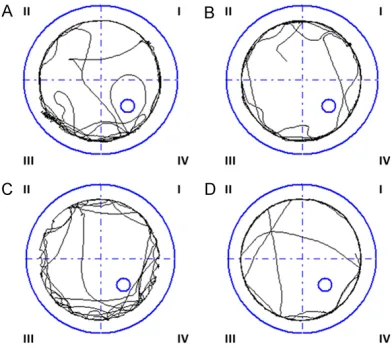 Figure 3. The swimming route of control rats in the first quadrant. B. Rats go into the water at the second Morris water maze
