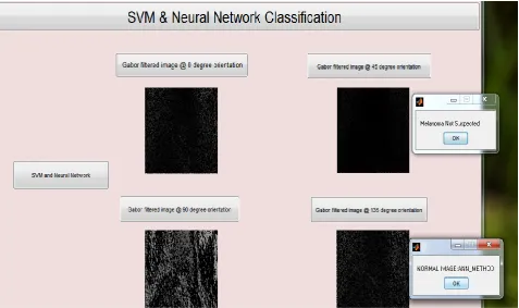 Figure 5.4: Loading input image. The input image is not a skin lesion. 