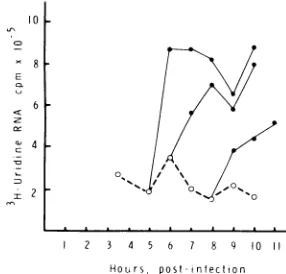 FIG. 7.periods.pulse,2%RNA0,certaininsolublewerelabeledcultures 280 Temperature-dependent increase in tsll synthesis