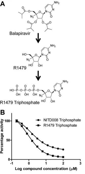 FIG 1 Balapiravir-related structures and R1479 triphosphate-mediated inhi-bition of DENV polymerase activity
