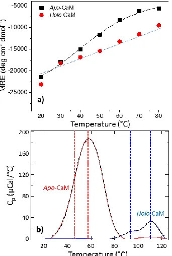 Figure 3: a) IR absorption spectra of apo-CaM. b) Difference IR absorption spectra for apo-CaM