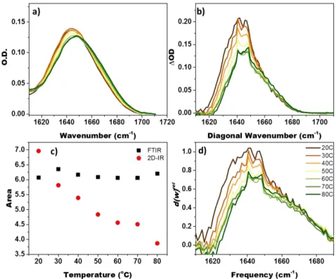 Figure 6: a) Buffer-subtracted unnormalized IR absorption spectra and b) 2D-IR diagonal (absolute value, raw data) of apo-CaM
