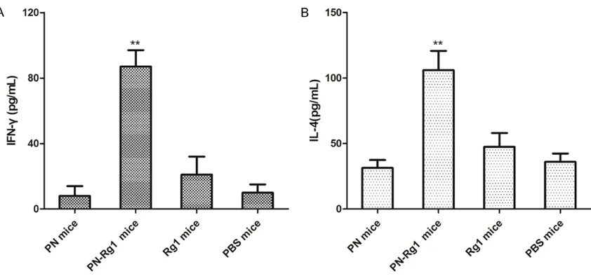 Figure 5. Anti-PN serum IgG titer increases in PN-Rg1 immunized mice. Mice were cultured and immunized as de-scribed in Materials and Methods