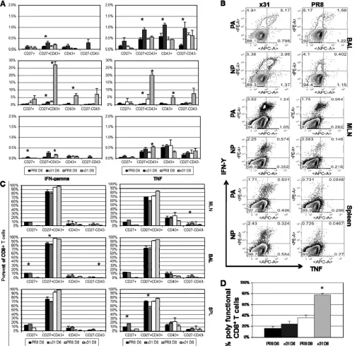 FIG 4 Activated inﬂuenza virus-speciﬁc CD8polyfunctional (IFN-different IFN-that the responses seen at day 8 are under way at day 7