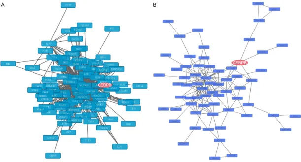 Figure 3. Co-expression network and gene-gene interaction network of common differentially expressed genes