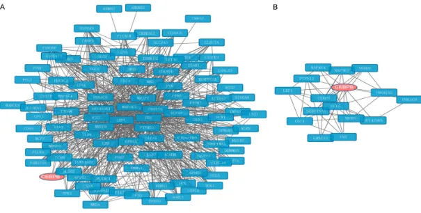 Figure 4. The final network obtained by combining the co-expression network and gene-gene interaction network