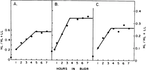 FIG. 1.forforquantitation(0) Viral DNA strand elongation. Confluent cultures were infected by tsA30 (0) or wild-type SV40 at 33°C, pulse-labeled with [3H]TdR, and shifted to 40.50C in the continuous presence of isotope for ofaccumulation of viral DNA I on 