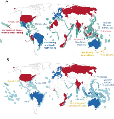 Figure 5Distribution of national, territory, and state protections with respect to ranges of mobulidspecies