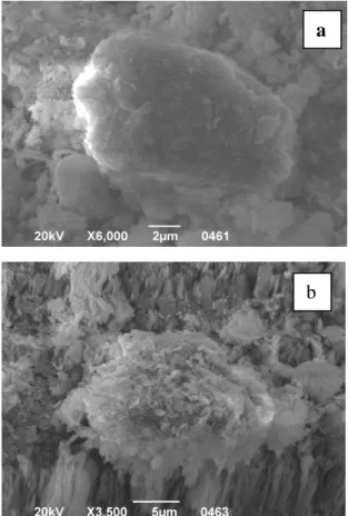 Table  3.  EDX  elemental  analysis  of  low  grade  bauxite  before and after leaching