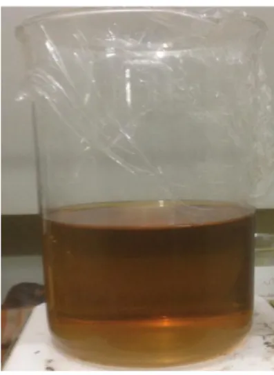 Fig. 5. Leachate solution of Indonesian low grade bauxite  from solid-liquid extraction