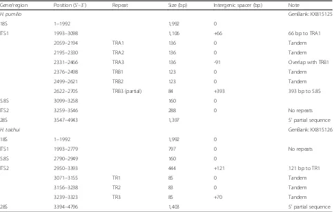 Table 4 Position of ribosomal genes and internal transcribed spacers in the partially sequenced transcription unit of Haplorchispumilio (4,943 bp) and H