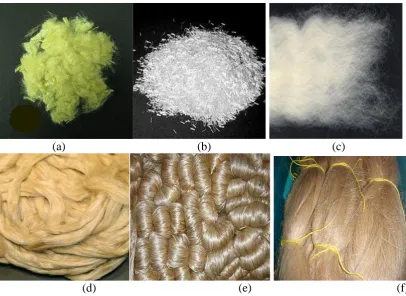 Figure 2.1 Examples of textile fibre; (a) Aramid, (b) Glass, (c) Wool, (d) Hemp, (e) Jute and (f) Flax [53]