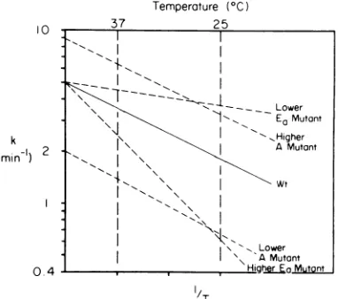 Table 1) clearly show at least a 10-fold increasein only the cs phenotype. In a third trial, theenrichment step was a 45-min eclipse period at