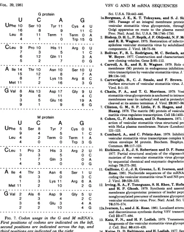 FIG. and M mRNA's.on theNA's-,[dicated on the left,across the top, andtheI inGGdicatedsecondthird positions positions positions7