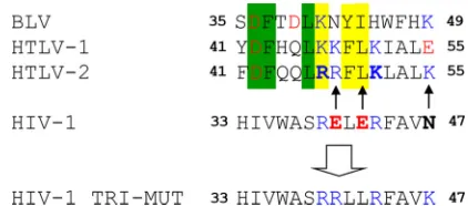 FIG 1 Structure-based sequence alignment of MAgreen, identical in HTLV-1 and -2 and BLV; yellow, conserved in HTLV-1 and-2 and BLV