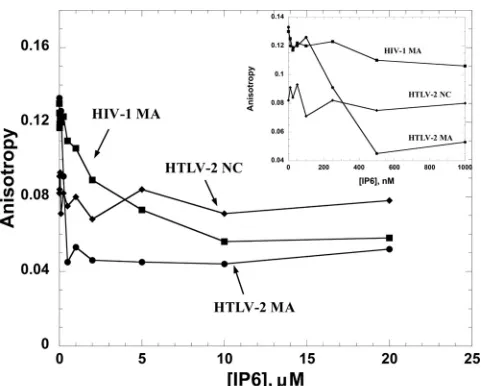 FIG 7 FA competition assays wherein 20 nM 5HTLV-2 MA, HIV-1 MA, or HTLV-2 NC at saturating protein concentrations(5=-Fl-SL2 was preincubated with �M for HTLV-2 MA, 5 �M for HTLV-2 NC, and 7 �M for HIV-1 MA),followed by titration with IP6