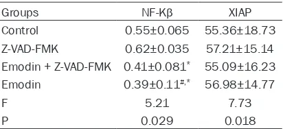 Table 2. IHC detecting NF-xB and XIAP expres-sions in bladder cancer tissue