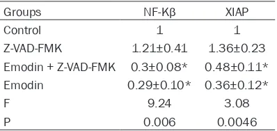 Figure 4. RT-PCR detecting NF-Kβ and XIAP mRNA expressions in bladder cancer tissue (A: Control group, B: Z-VAD-FMK group, C: Emodin + Z-VAD-FMK group, D: Emodin group).