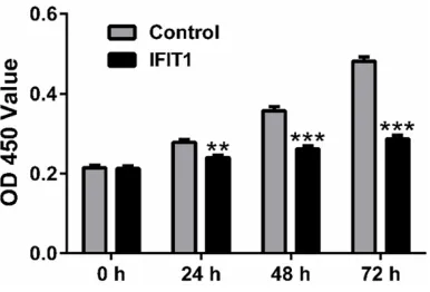 Figure 2. IFIT1 inhibited cell proliferation of podo-cytes. The chondrocytes viability as tested by CCK-8 at 0 h, 12 h, 24 h, 48 h and 72 h after virus transduc-tion