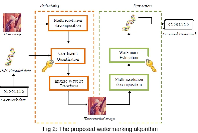 Fig 2: The proposed watermarking algorithm  